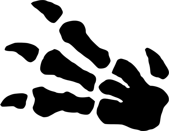 Fossil